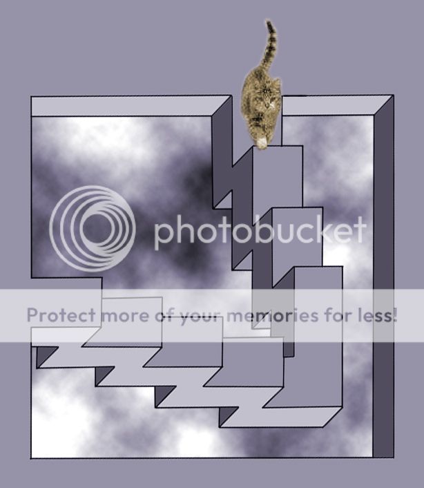 So, is the cat going up or down the stairs . . . Page 2 PPRuNe Forums